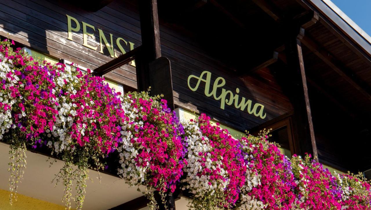 Café Pension Alpina Innsbruck Exterior foto